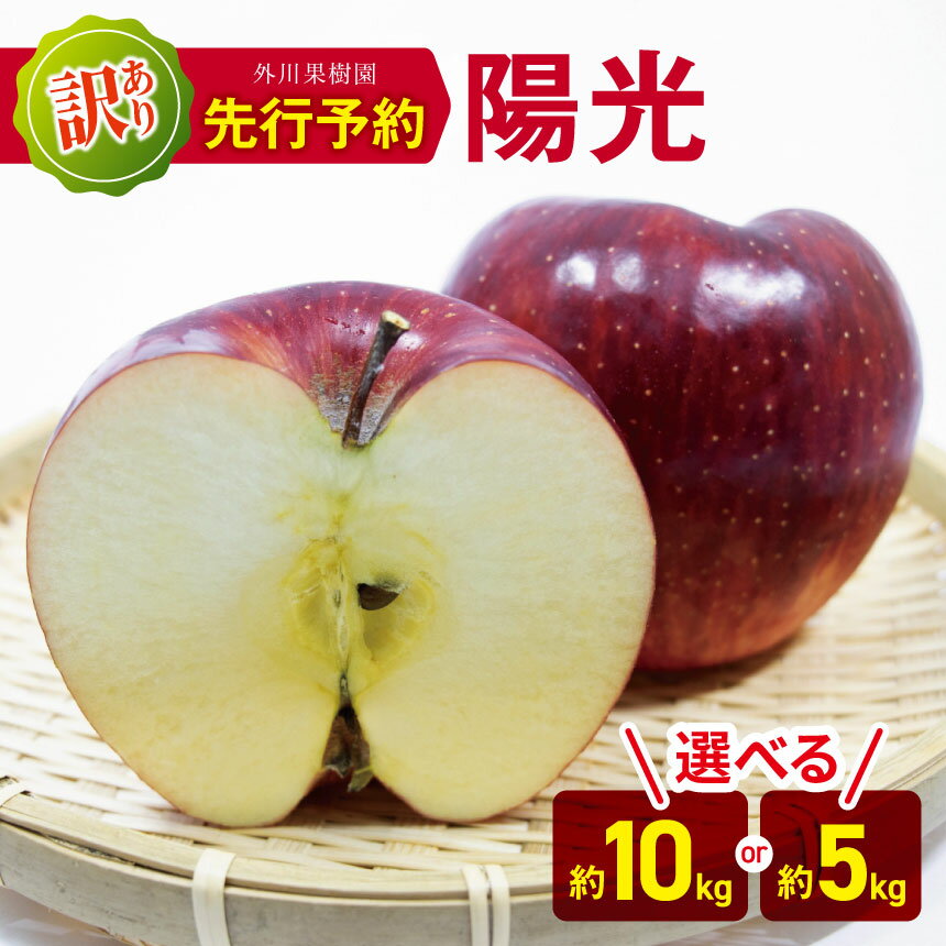 【ふるさと納税】*【2025年先行予約】 外川果樹園 訳あり 陽光 約10kg・約5kg ｜ リンゴ りんご 林檎 果物 フルーツ 果実 果汁 陽光 ようこう わけあり 訳アリ 長野県 松川村 信州
