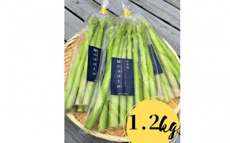五泉産 グリーンアスパラガス 1.2g (400g×3)