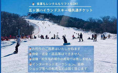 五ヶ瀬ハイランドスキー場 共通券 3,000円分(1,000円 × 3枚) 