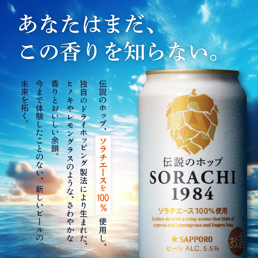 ◆6ヵ月連続お届け定期便◆SORACHI 1984 1箱（350ml×12缶） 株式会社 ヤマイチ 北海道 上富良野町 ソラチ1984 お酒 酒 飲み物 ビール 地ビール サッポロビール サッポロ ギ