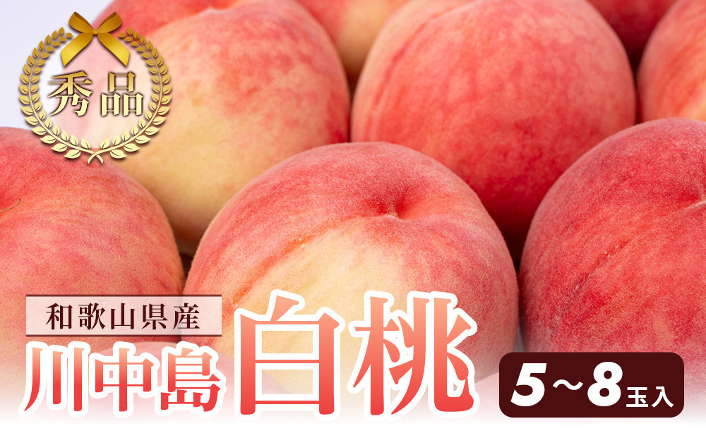 和歌山県産 川中島白桃 5～8玉入り 秀品 先行予約［2027年7月下旬以降発送］［MG7］
