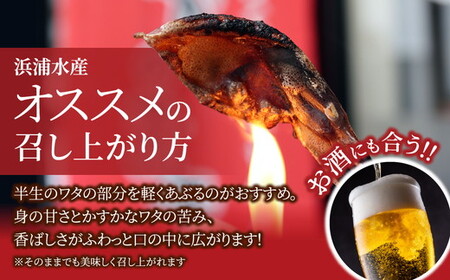 【大量シェア】ホタルイカ 400g  素干：浜浦水産シェアセット｜ ほたるいか 天然塩 魚貝類 魚介類 海鮮 海産物 素干し 干物 ひもの 乾物 珍味 大量 シェア お裾分け おすそわけ お取り寄せ 