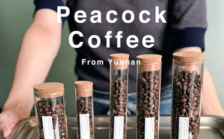 浅煎り 雲南コーヒー 2種 計200g / ピーコックコーヒー スペシャリティコーヒー 珈琲 / 大村市 / サニーサイドファクトリー[ACCK001]