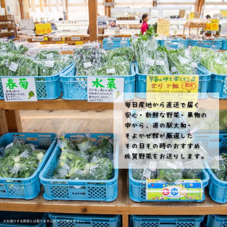 旬の野菜と果物セット：B165-002_イメージ2