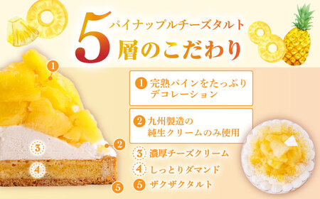 【全6回定期便】 パイナップルチーズタルト1ホール(14cm)【心優　－Cotoyu Sweets－】[KAA534]