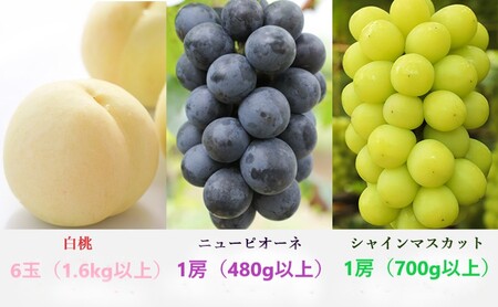桃 ぶどう 定期便 2027年 先行予約 晴れの国 岡山 の フルーツ 定期便 3回コース もも モモ 葡萄 ブドウ 岡山県産 国産 セット ギフト 化粧箱入り 白桃 ニューピオーネ シャインマスカッ