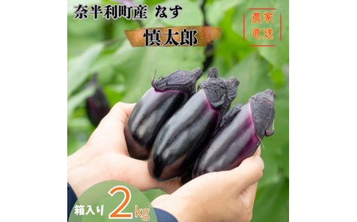 131001　奈半利町の茄子【慎太郎】2kg  ナス なす 産地直送 野菜 箱入り 新鮮