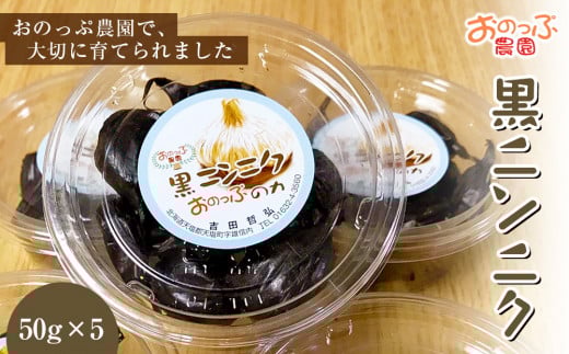 おのっぷ農園の★黒ニンニク★