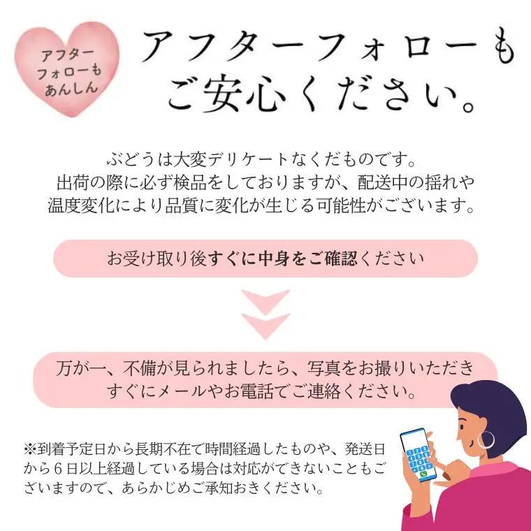 ぶどう２種セット（シャインマスカット／クイーンルージュ®）約2kg／2026年9月下旬頃～10月頃 配送予定[TK17]//長野県 南信州 種なし 皮ごと 詰め合わせ 食べ比べ 新鮮 クインルージュ 
