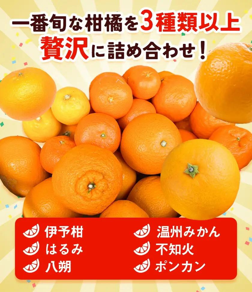 旬の柑橘 詰め合わせ 3種以上 サイズ混合 5kg エイワ商店