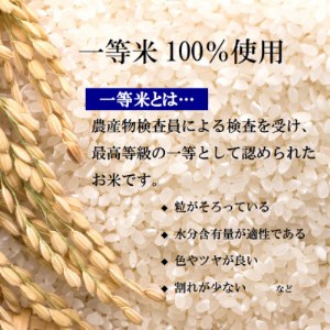 【令和5年産】栃木県産とちぎの星 (精米)5kg×1袋 ｜ お米 白米 一等米 送料無料 栃木県 宇都宮市 ※離島への配送不可