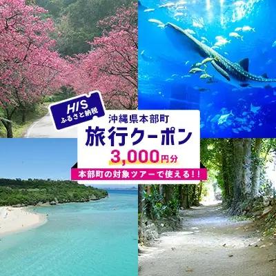 【沖縄県本部町】HISふるさと納税旅行クーポン 3,000円分