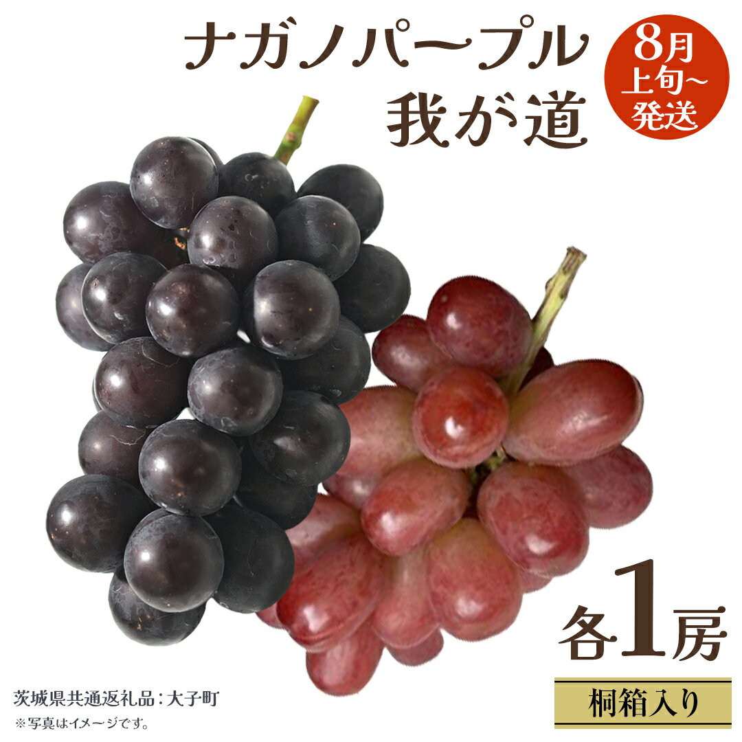 【ふるさと納税】【 桐箱入り 】 ナガノパープル と 我が道 (各1房)【2025年8月上旬発送開始】(茨城県共通返礼品：大子町) ぶどう 葡萄 フルーツ 果物 贈答用 ギフト 贈り物
