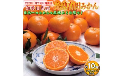 
【2022年11月下旬以降発送】　和歌山県産 完熟有田みかん 約10kg｜くだもの 果物 フルーツ 柑橘 蜜柑 ミカン 産地直送※2022年11月下旬～2023年1月上旬に順次発送予定※離島への配送不可※着日指定不可
