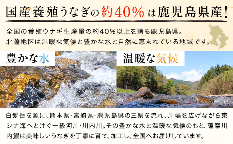s641 【隔月・定期便3回】鹿児島県産 鰻蒲焼真空2尾セット！(計約840g・約140g×2尾×3回) 鹿児島 九州産 国産 うなぎ ウナギ 鰻 土用の丑の日 蒲焼き うな重 ひつまぶし 定期便 隔