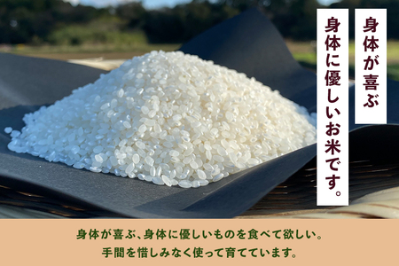 ＜白米 2kg＞『身体が喜ぶ野菜とお米』詰め合わせ おまかせセット 茨城県産 コシヒカリ 米 お米 ご飯 ごはん 栽培期間中農薬不使用 季節の野菜 セット 微生物農法 EM農法 有機栽培 産地直送 新