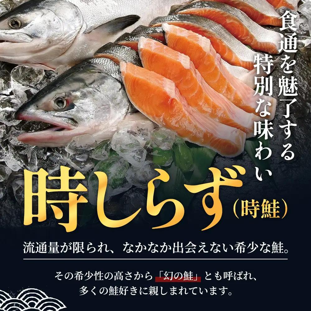 厚岸産 甘塩 時鮭 切り身 1.7kg 切身 ときしらず