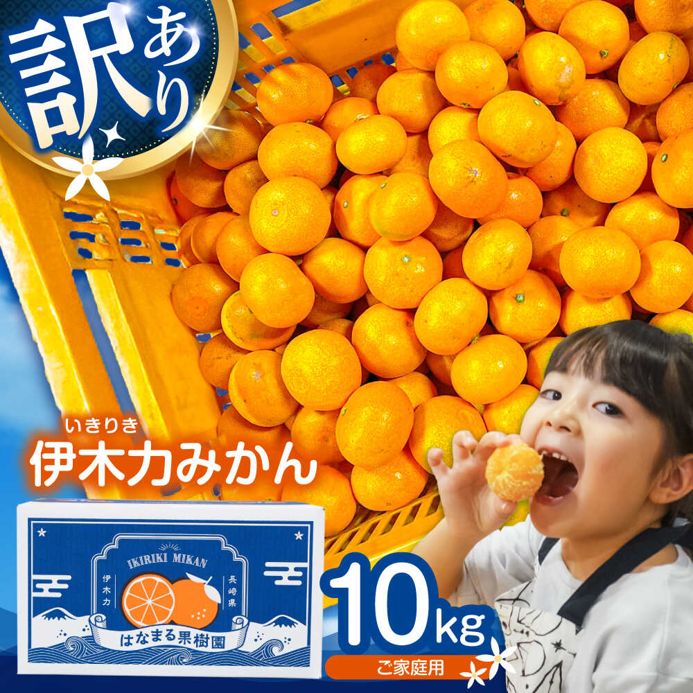 【ふるさと納税】【訳あり】※【2026年10月下旬より順次発送／先行予約】伊木力みかん(家庭用) 10kg / 訳あり みかん ミカン 蜜柑 mikan オレンジ 柑橘 かんきつ フルーツ ふるーつ 果物 くだもの / 諫早市 / 山野果樹園 [AHCF001]
