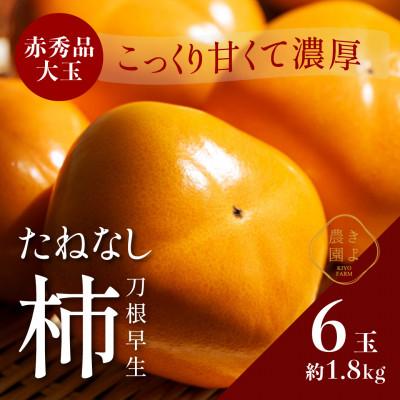 ふるさと納税 古座川町 先行受付　柿(種無し)　赤秀品大玉　6個入　約1.8kg
