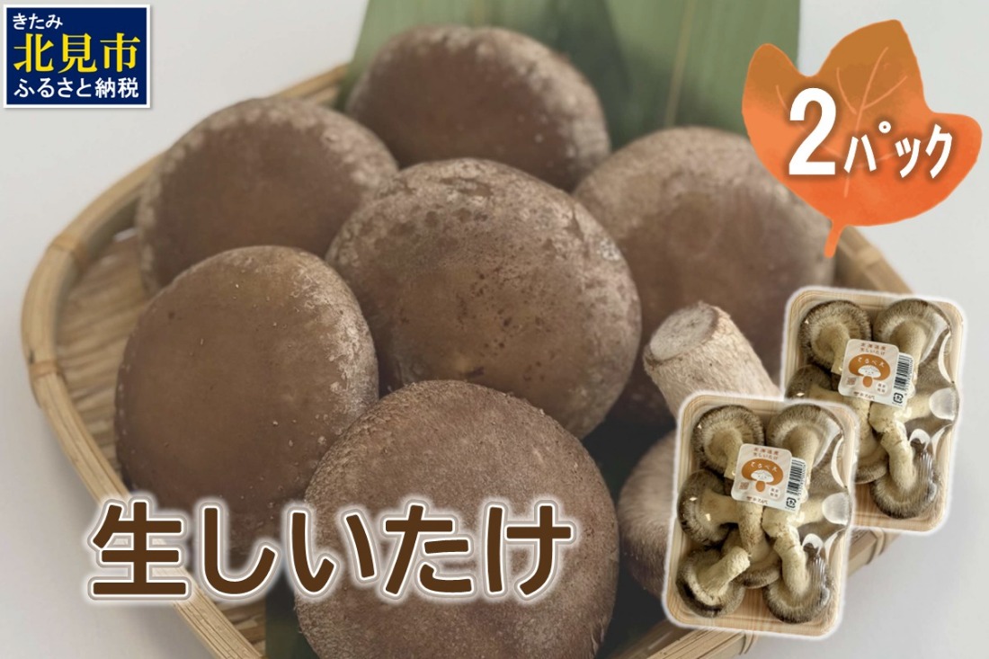 北海道産 生しいたけ(菌床) 2パック ( きのこ キノコ 椎茸 シイタケ )【038-0012】