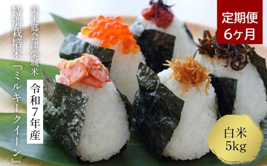 【定期便6ヶ月】令和7年産　特別栽培米ミルキークイーン　白米　5kg×6回　精米仕立て発送　ＧＡＰ認証農園産　　美米郷会津柴城米【07208-0330】