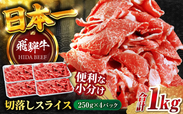 
            飛騨牛切り落とし 1kg（250ｇ×4P）/ 飛騨牛 ひだぎゅう 牛肉 ぎゅうにく すき焼き 焼肉 小分け 飛騨牛 岐阜市/丸福商店 [ANBO005]
          