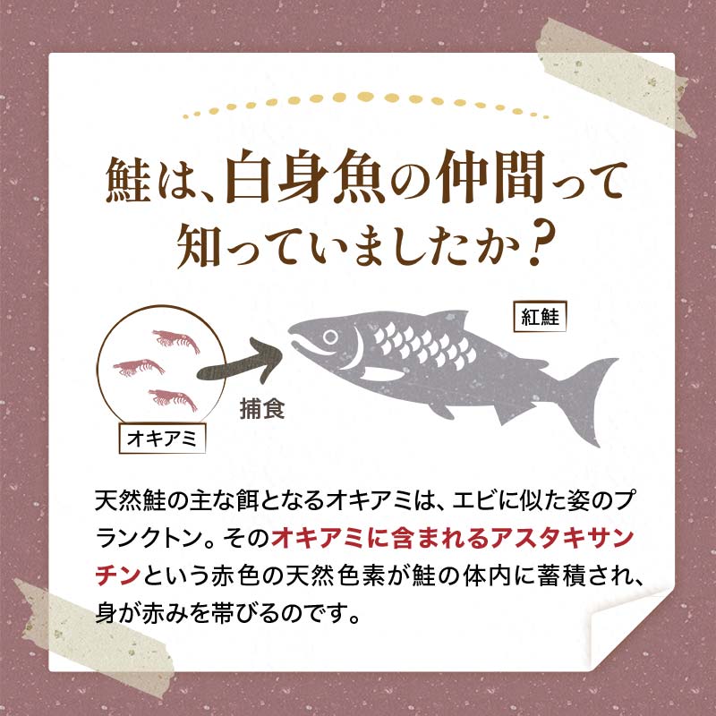 天然紅さけ切身 1kg（500g×2袋） 鮭 さけ サケ しゃけ シャケ 切り身 北海道 冷凍 おかず 小分け 真空 朝食 弁当 F4F-4639