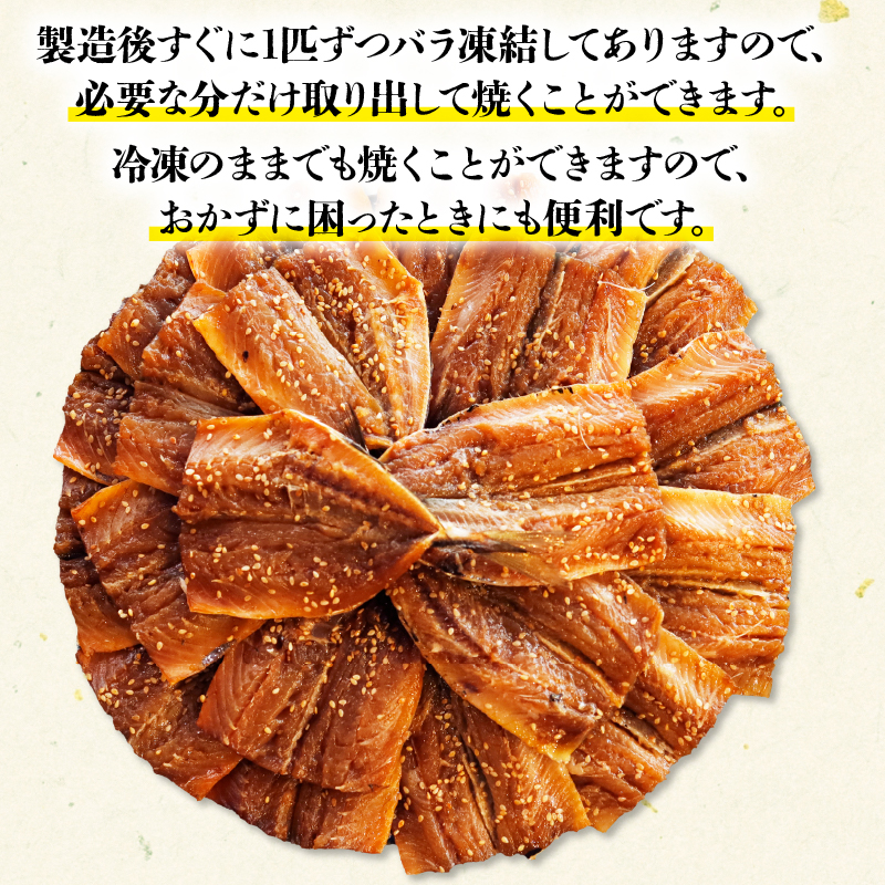 干物 いわし あじ みりん干し セット 鰯 鯵 ひもの 詰め合わせ 500g ずつ 冷凍 合計 1kg 1キロ 10000円 魚類 一万円 京都府 舞鶴