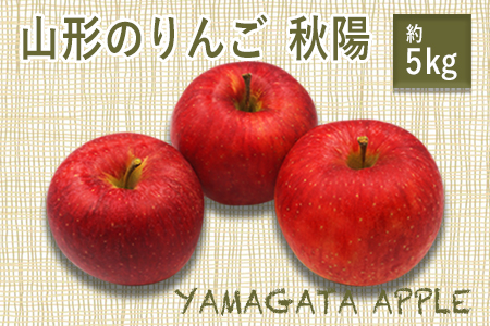 【2026年発送】山形のりんご（秋陽）約5kg_H077(R8)