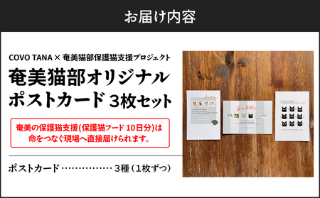 【 奄美 の 保護猫支援 （ 保護猫 フード 10日分 ）】 ＋ ポストカード 3枚 セット A071-006 お手紙 猫デザイン 3種 オリジナルポストカード 保護猫プロジェクト cafeCOVOT