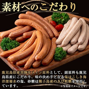 黒豚MEGUMIウインナーガーリック(6P) 黒豚 豚肉 ウインナー【ナンチク】A773