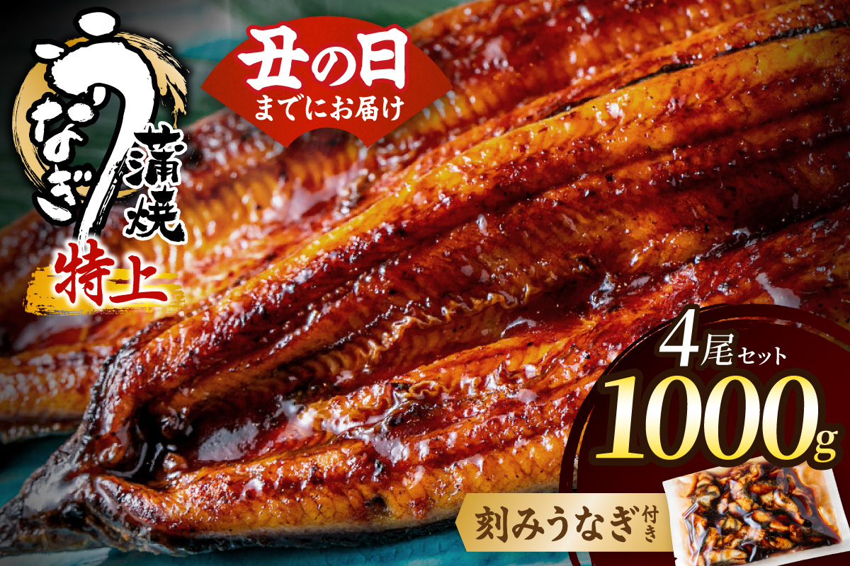 数量限定！地域応援企画！うなぎ蒲焼き4尾セット＜刻みうなぎ40g×1袋付＞【魚住商店】_HA1494-CP 特上 鰻 ウナギ 人気 特大 炭火 うなぎの蒲焼 丑の日 土用 真空 福岡県宗像市 宗像市 