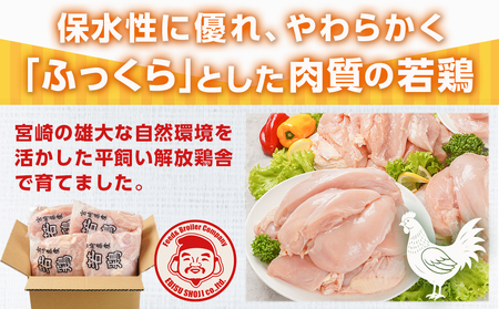 【2025年12月お届け】宮崎県産若鶏 むね肉(4kg)_LG-G302-2512