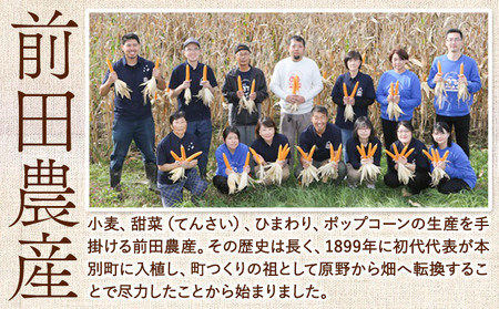 パン用小麦粉 キタノカオリ 北海道十勝 前田農産 5kg 1kg×5袋 有限会社 十勝太陽ファーム 送料無料 北海道 本別町《60日以内に出荷予定(土日祝除く)》小麦粉小麦粉小麦粉小麦粉小麦粉