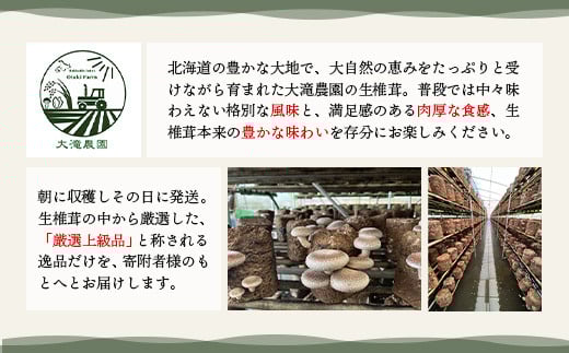 《数量限定》北海道恵庭産生しいたけ500g（定番品）