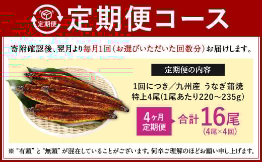 【4ヶ月定期便】九州産 うなぎ 蒲焼 特上 4尾 (1尾あたり220～235g) 合計16尾