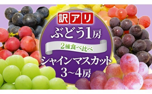 ＼訳あり ご家庭用／シャインマスカット (3～4房) ＆ 種なし 大粒ぶどう (1房) 合計 4～5房入 ブドウ 葡萄 フルーツ 果物 旬 わけあり 先行予約 食べ比べ(DM006)