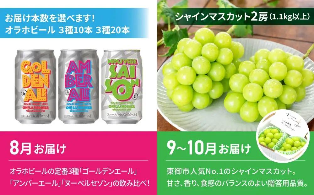 【2回定期便】シャインマスカットと地ビールの人気セット（シャインマスカット2房1.1kg以上とクラフトビール飲み比べ（3種10本））｜【JA信州うえだ／オラホビール】ぶどう 葡萄 大粒 果物 フルーツ