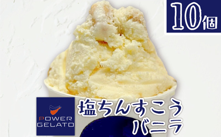 POWER GELATO（ 塩ちんすこうバニラ ） 90ml × 10個入り C073-005-02 ジェラート 菓子 お菓子 デザート スイーツ 塩ちんすこう バニラ 島素材 こだわり製法 手づくり SDGs 冷凍 美味しい おいしい ご褒美 おやつ ふるさと納税 鹿児島 知名町 おすすめ ランキング プレゼント ギフト