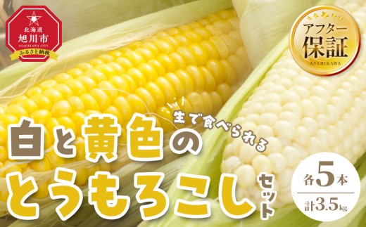 
                  【2027年先行予約】【旭川近郊産】白と黄色のとうもろこしセット 各5本（計3.5kg）8月上旬から発送開始予定 【 白いとうもろこし 人気 北海道産 糖度 生 野菜 スイートコーン 産地直送 バーベキュー BBQ コーン 旬 お取り寄せ 旭川市 北海道 】_00094
                