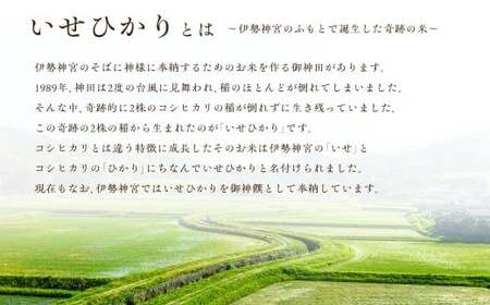 【令和7年産 新米 】いせひかり 精米 5kg 新米