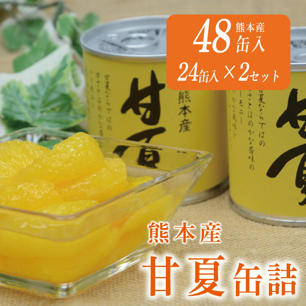 【ふるさと納税】缶詰 セット ギフト かんづめ 甘夏 夏みかん みかん 保存食　甘夏缶詰（24缶入×2ケース）