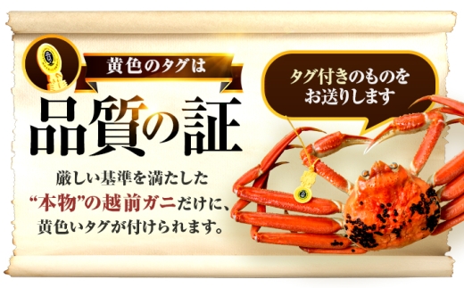 【先行予約】 【希望月指定可】 越前がに 800ｇ×1杯 / 蟹 ズワイガニ ずわいがに ボイル 冷蔵 小浜市 / まるほ商店 【配送不可地域：北海道・沖縄・離島】[BFCS024]