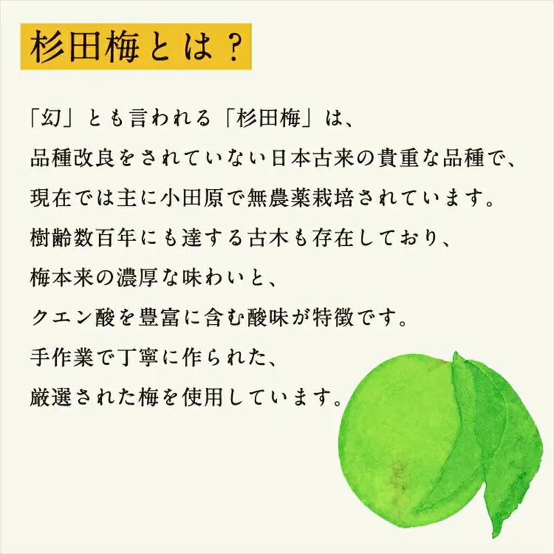 濃厚梅エキスと漢方のシロップ「うめびん（杉田梅） by Kampo Kitchen」【 家庭用 自宅用 贈答品 贈答用 ギフト お取り寄せ お中元 お歳暮 贈り物 お祝い 神奈川県 小田原市  梅 梅