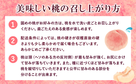桃 もも 「あら川の桃」 特秀品  3個入 マルミ農園 《6月上旬-8月下旬頃出荷》 先行予約 和歌山県 紀の川市