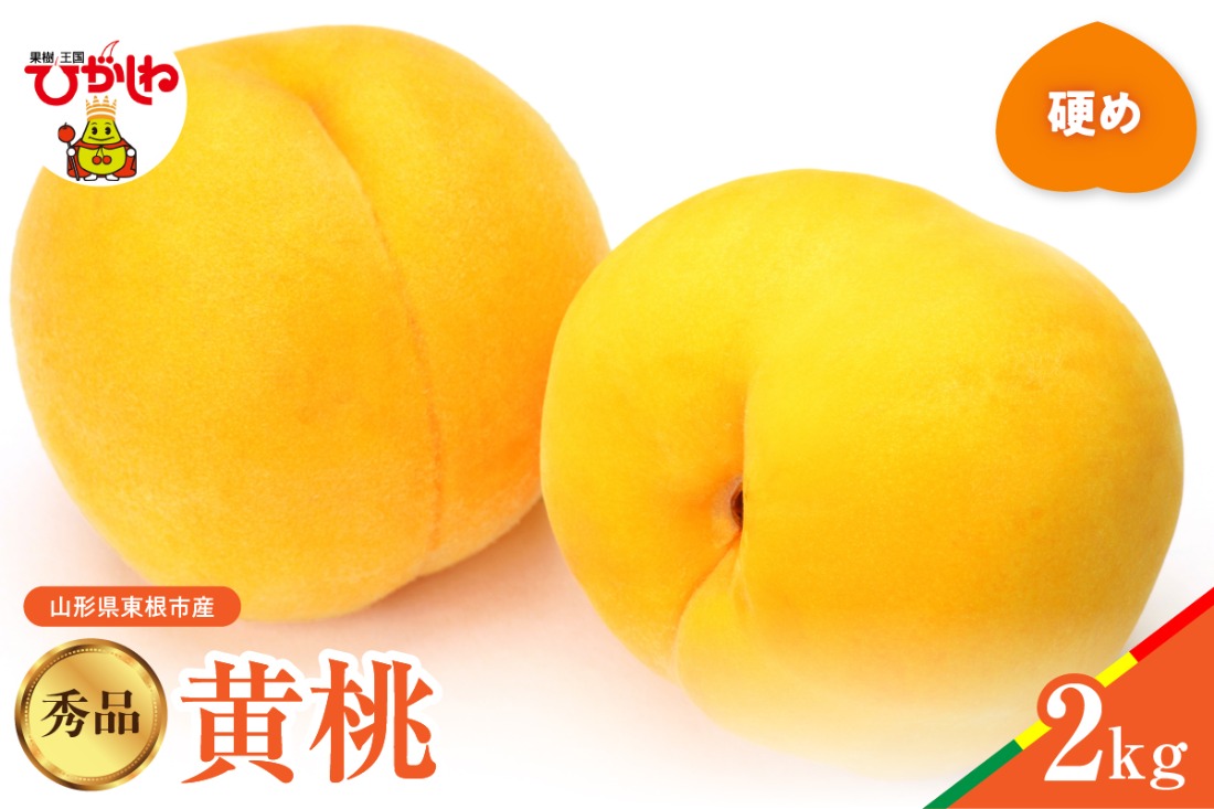 【2026年産】黄桃 品種おまかせ 秀品2kg(硬め) 山形県 東根市 hi062-061