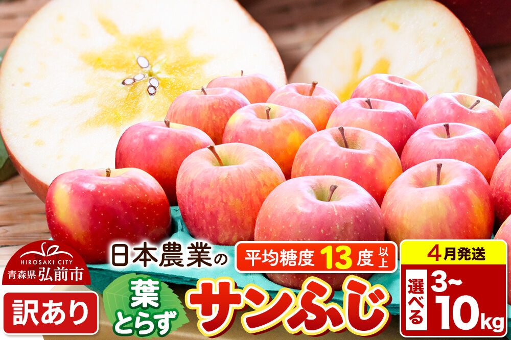 
                  【26年4月クール便発送】りんご 平均糖度13度以上！ 葉とらず サンふじ【選べる 3kg／5kg／10kg】訳あり【CA貯蔵】青森 果物 フルーツ 林檎 リンゴ くだもの 不揃い 規格外
                