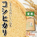 【ふるさと納税】令和6年産　新米　先行受付K9　しそうのおいしい　お米　コシヒカリ　玄米　14kg
