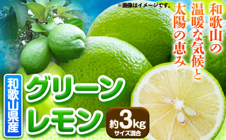 
            【産直】和歌山県産グリーンレモン 約3kg (サイズ混合) 厳選館《10下旬-10末頃出荷》和歌山県 日高町 グリーンレモン レモン 柑橘 果物 フルーツ 和歌山県産
          