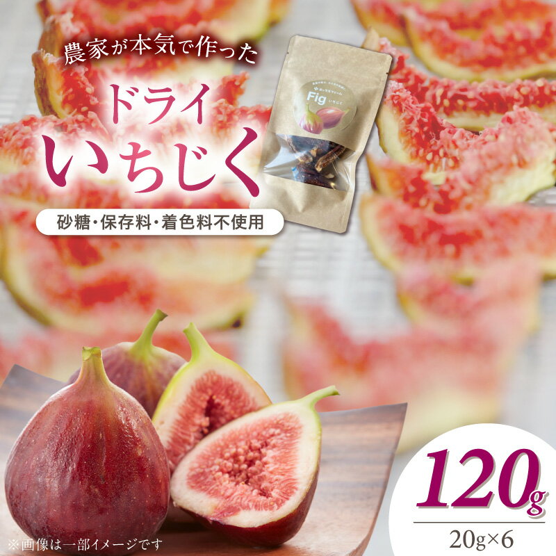 【ふるさと納税】ドライいちじく 20g 6パック ドライフルーツ いちじく 完熟果実 シンプル やさしい 甘い 無花果 砂糖不使用 保存料不使用 着色料不使用 小分け 便利 間食 おやつ フルーツ ヨーグルト チーズ パン お取り寄せ 愛知県 碧南市 送料無料